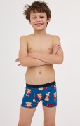 Bokserki Cornette Young Boy 700/151 Boxer 134-164
