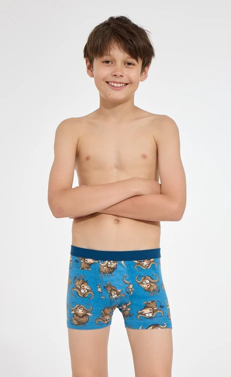 Bokserki Cornette Young Boy 700/159 Bulls 2 134-164