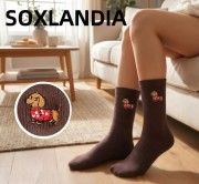 Skarpety WiK Soxlandia 3044 wz.09 Kaszmir 35-42