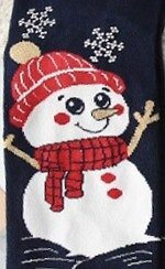 Skarpety WiK Pesail 3060 wz.70 Merry Christmas 35-42